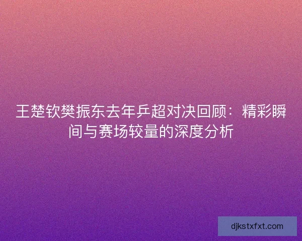 王楚钦樊振东去年乒超对决回顾：精彩瞬间与赛场较量的深度分析